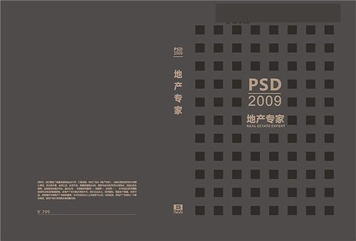 PSD2009地产专家